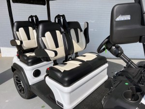 White Evolution D5 Lithium Golf Cart Forward Facing 05